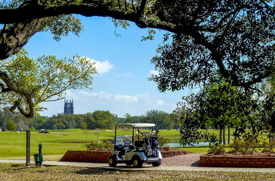 Scoprire le Bellezze Naturali di New Orleans: Attività all’Aperto e Luoghi di Interesse Naturalistico